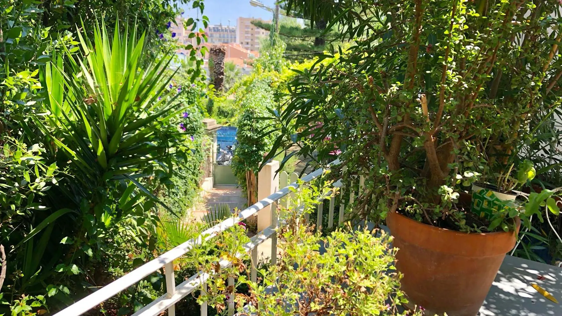 Appartement Dans Maison De Ville Avec Jardin Nice